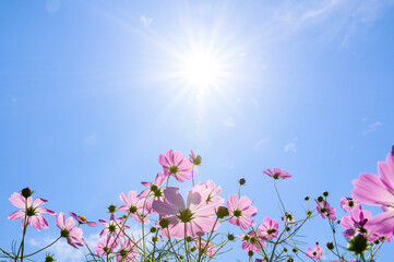 季節の変わり目