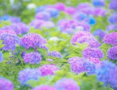 栄養満点